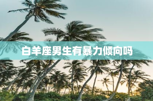 白羊座男生有暴力倾向吗