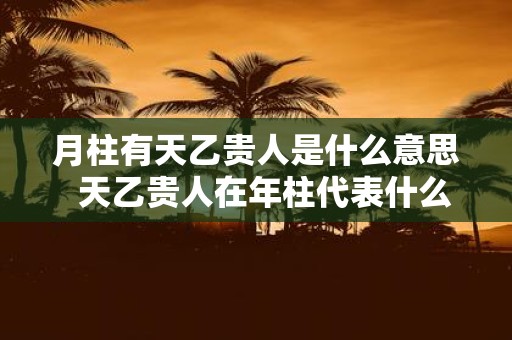 月柱有天乙贵人是什么意思 天乙贵人在年柱代表什么