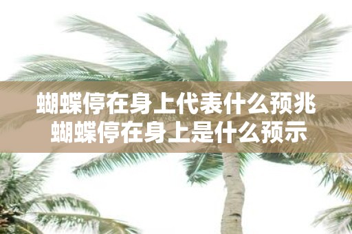 蝴蝶停在身上代表什么预兆 蝴蝶停在身上是什么预示