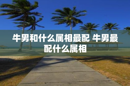 牛男和什么属相最配 牛男最配什么属相