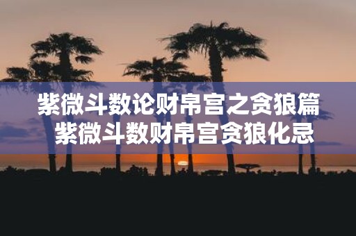 紫微斗数论财帛宫之贪狼篇 紫微斗数财帛宫贪狼化忌