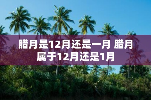 腊月是12月还是一月 腊月属于12月还是1月