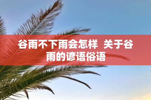 谷雨不下雨会怎样 关于谷雨的谚语俗语
