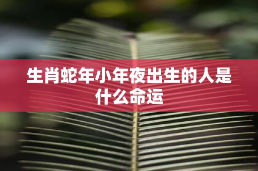 生肖蛇年小年夜出生的人是什么命运