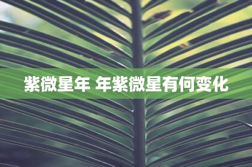 紫微星年 年紫微星有何变化