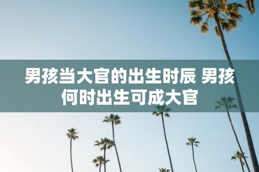 男孩当大官的出生时辰 男孩何时出生可成大官