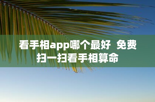 看手相app哪个最好 免费扫一扫看手相算命