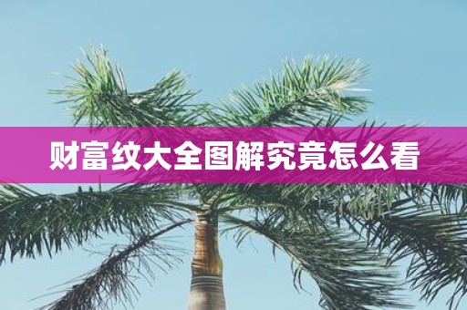 财富纹大全图解究竟怎么看