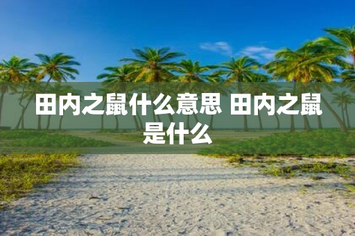 田内之鼠什么意思 田内之鼠是什么