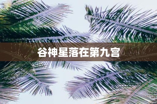 谷神星落在第九宫
