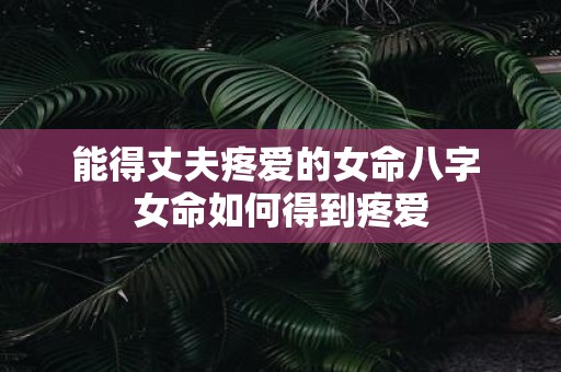 能得丈夫疼爱的女命八字 女命如何得到疼爱