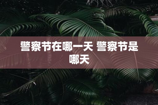 警察节在哪一天 警察节是哪天