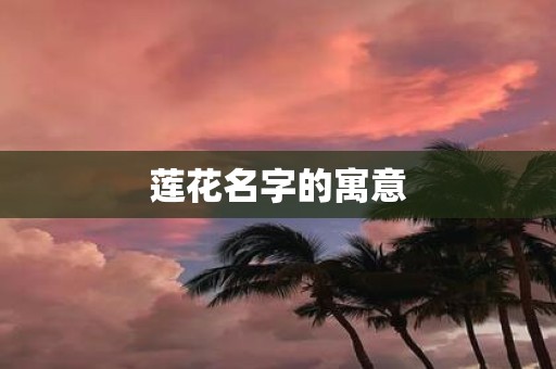 莲花名字的寓意