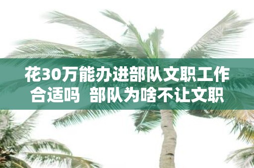 花30万能办进部队文职工作合适吗 部队为啥不让文职续签