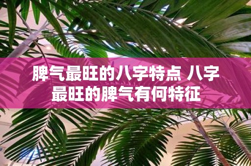 脾气最旺的八字特点 八字最旺的脾气有何特征