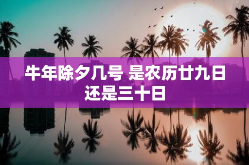 牛年除夕几号 是农历廿九日还是三十日