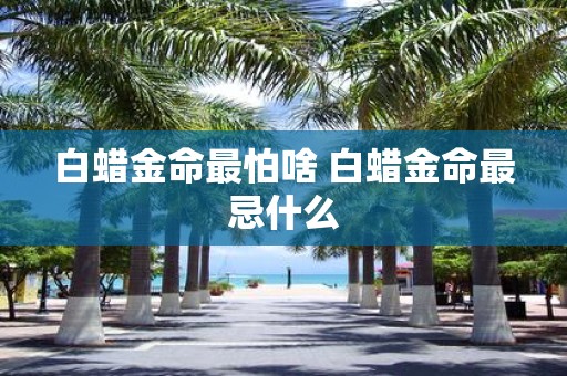 白蜡金命最怕啥 白蜡金命最忌什么