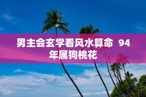 男主会玄学看风水算命 94年属狗桃花