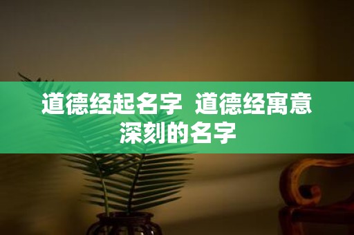 道德经起名字 道德经寓意深刻的名字