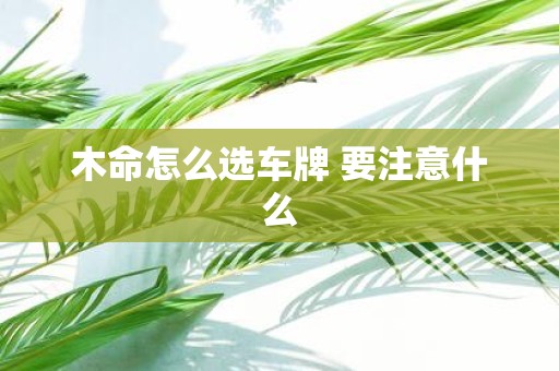 木命怎么选车牌 要注意什么