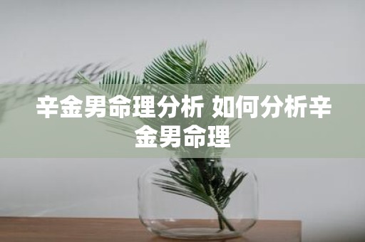 辛金男命理分析 如何分析辛金男命理