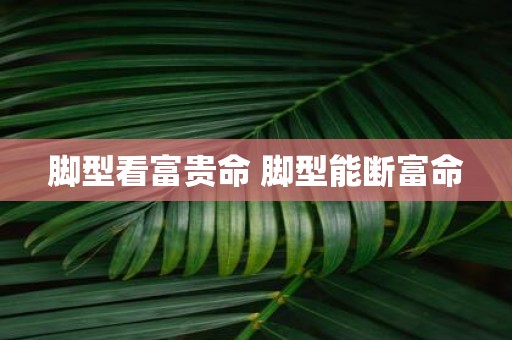 脚型看富贵命 脚型能断富命