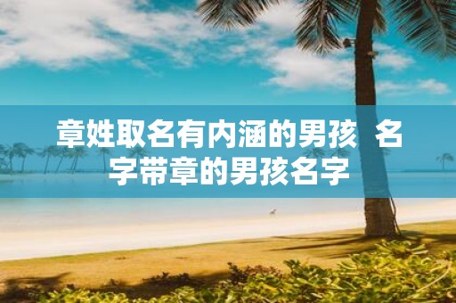 章姓取名有内涵的男孩 名字带章的男孩名字