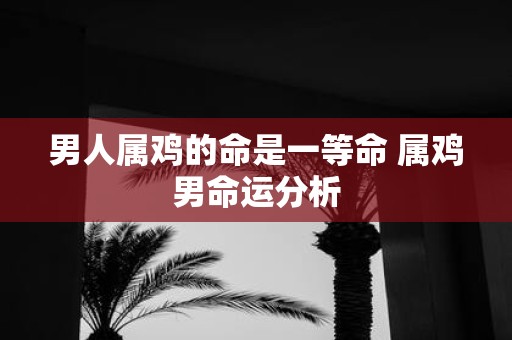 男人属鸡的命是一等命 属鸡男命运分析