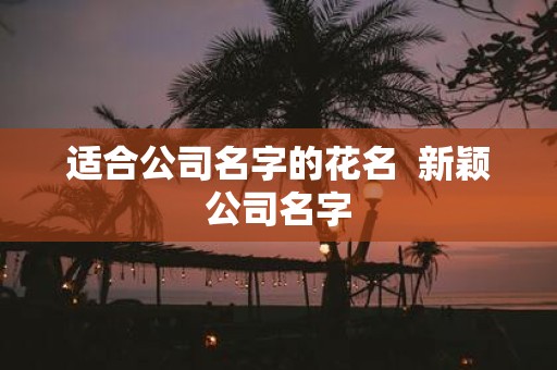适合公司名字的花名  新颖公司名字