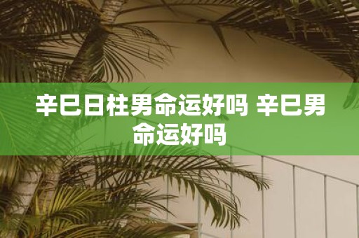 辛巳日柱男命运好吗 辛巳男命运好吗