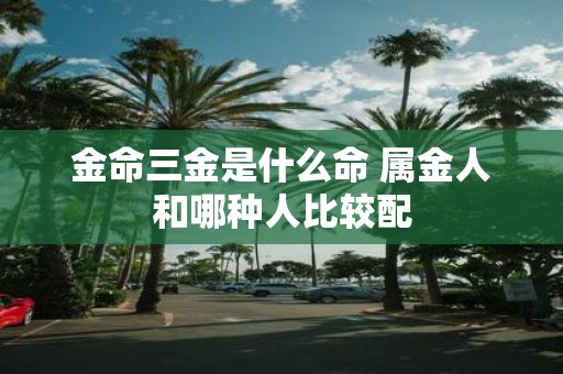 金命三金是什么命 属金人和哪种人比较配