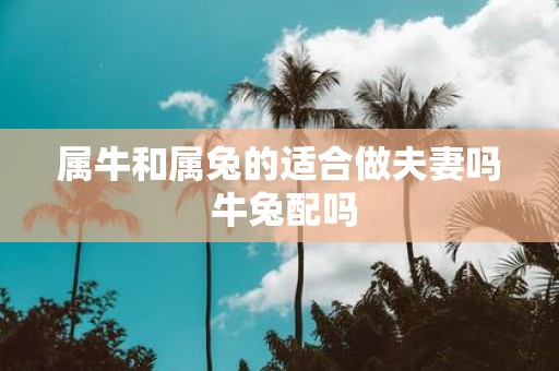 属牛和属兔的适合做夫妻吗 牛兔配吗