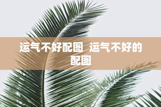运气不好配图 运气不好的配图