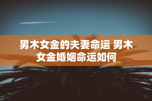 男木女金的夫妻命运 男木女金婚姻命运如何