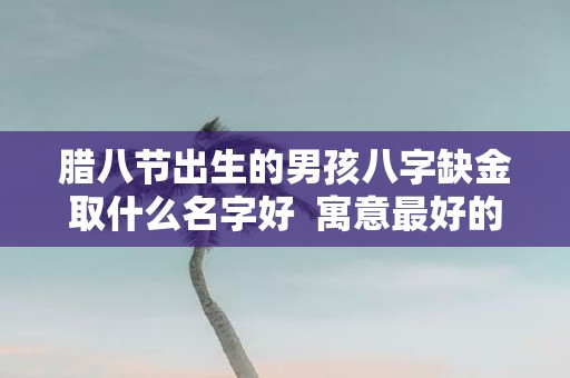 腊八节出生的男孩八字缺金取什么名字好 寓意最好的名字