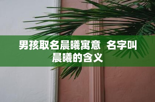 男孩取名晨曦寓意 名字叫晨曦的含义