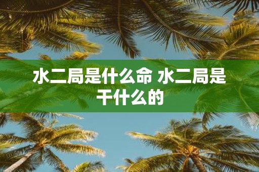 水二局是什么命 水二局是干什么的