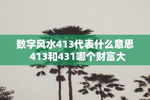 数字风水413代表什么意思 413和431哪个财富大