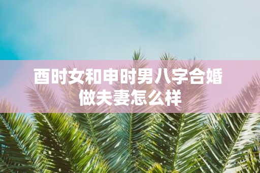 酉时女和申时男八字合婚 做夫妻怎么样