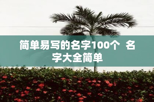 简单易写的名字100个 名字大全简单