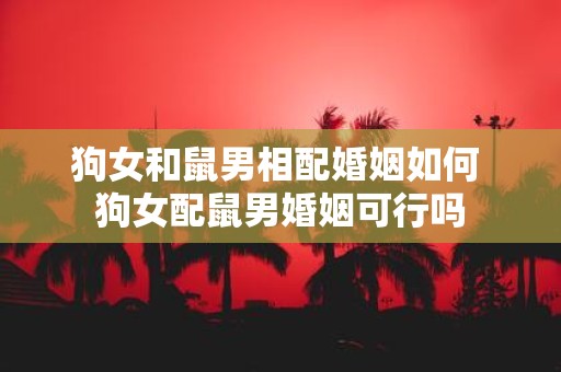 狗女和鼠男相配婚姻如何 狗女配鼠男婚姻可行吗