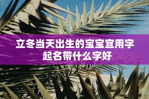 立冬当天出生的宝宝宜用字 起名带什么字好