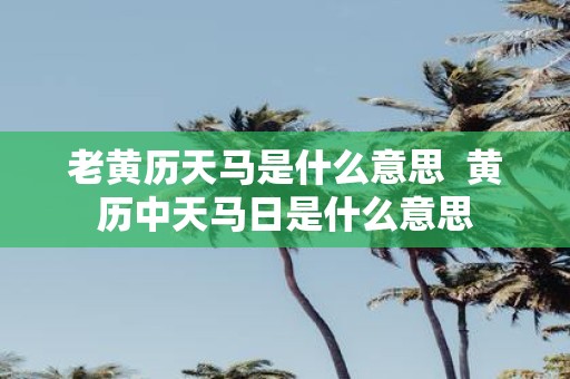 老黄历天马是什么意思 黄历中天马日是什么意思