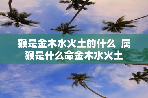 猴是金木水火土的什么 属猴是什么命金木水火土