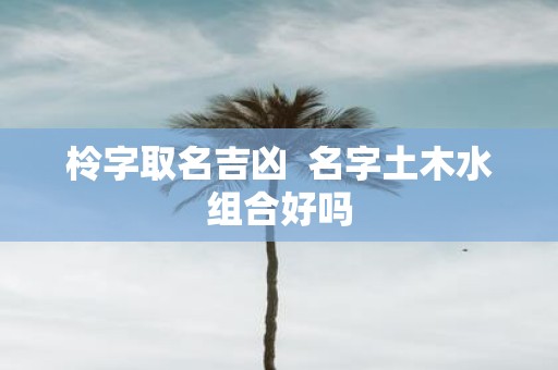 柃字取名吉凶 名字土木水组合好吗