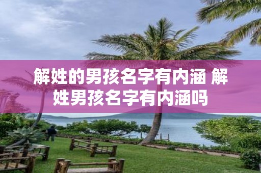解姓的男孩名字有内涵 解姓男孩名字有内涵吗