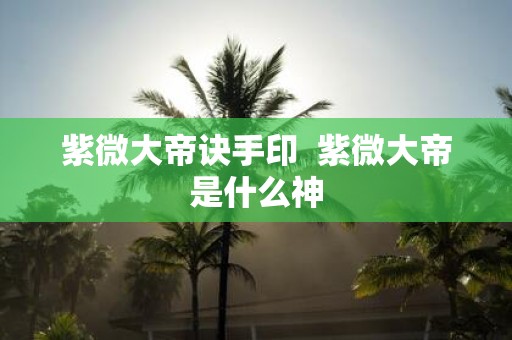 紫微大帝诀手印 紫微大帝是什么神