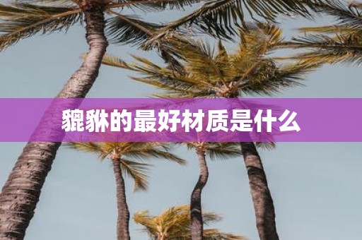 貔貅的最好材质是什么