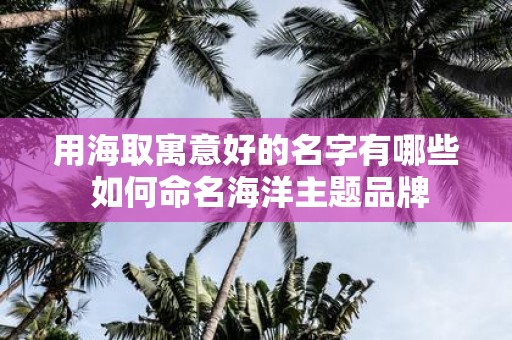 用海取寓意好的名字有哪些 如何命名海洋主题品牌