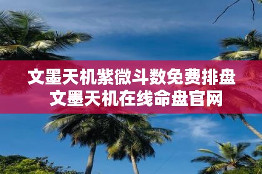 文墨天机紫微斗数免费排盘 文墨天机在线命盘官网